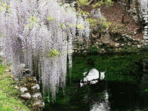 giardino di ninfa