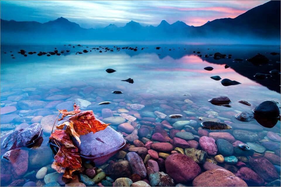 lago mcdonald