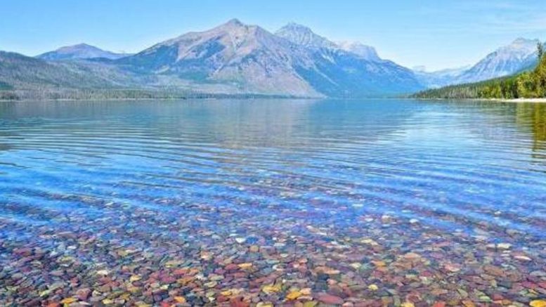 lago mcdonald