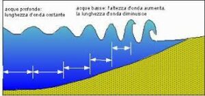 schema tsunami