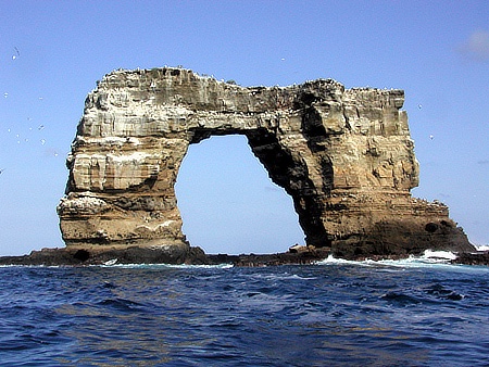 Darwin's arch