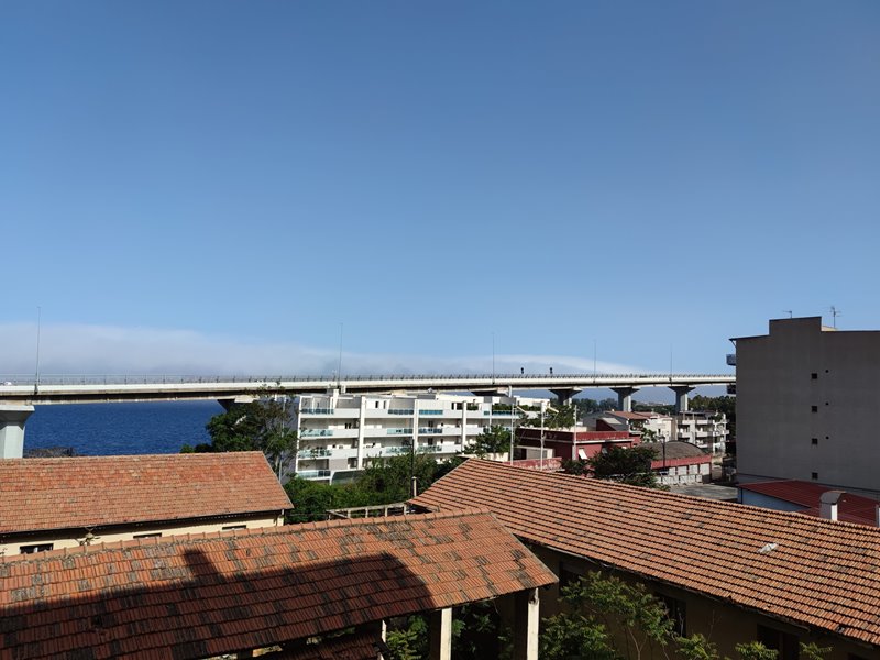 Lupa di Mare Stretto di Messina