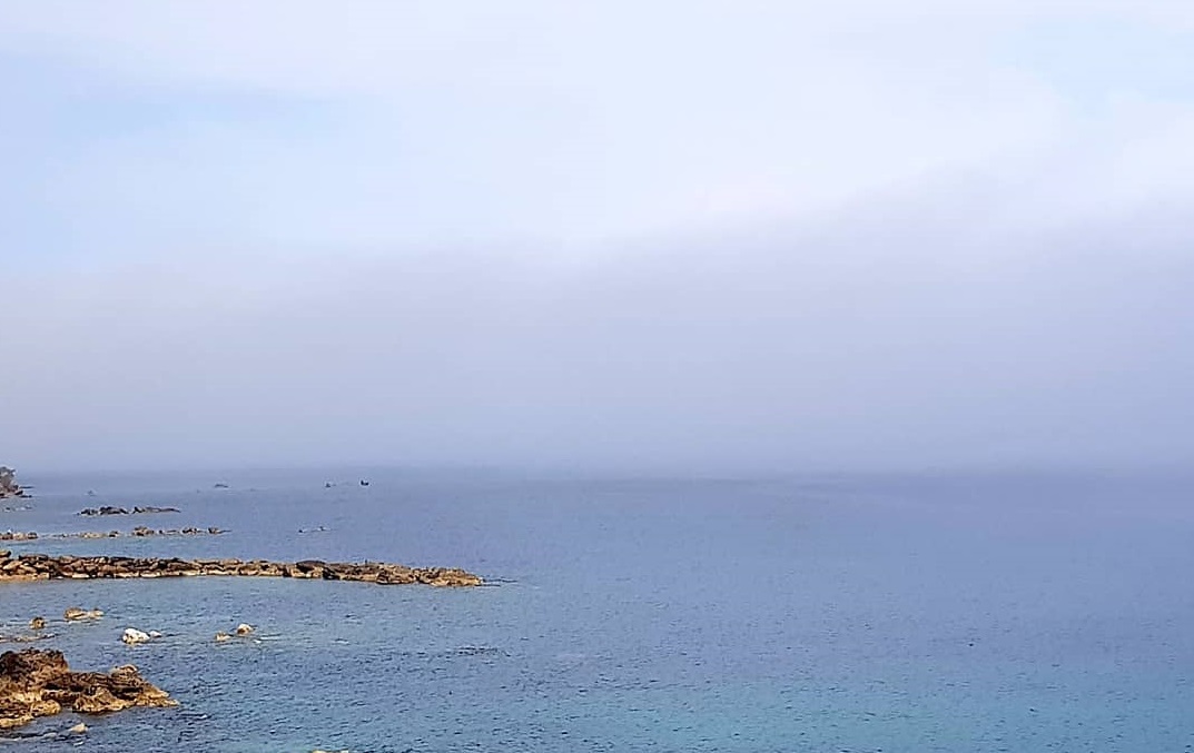 Nebbia Crotone Lupa di mare