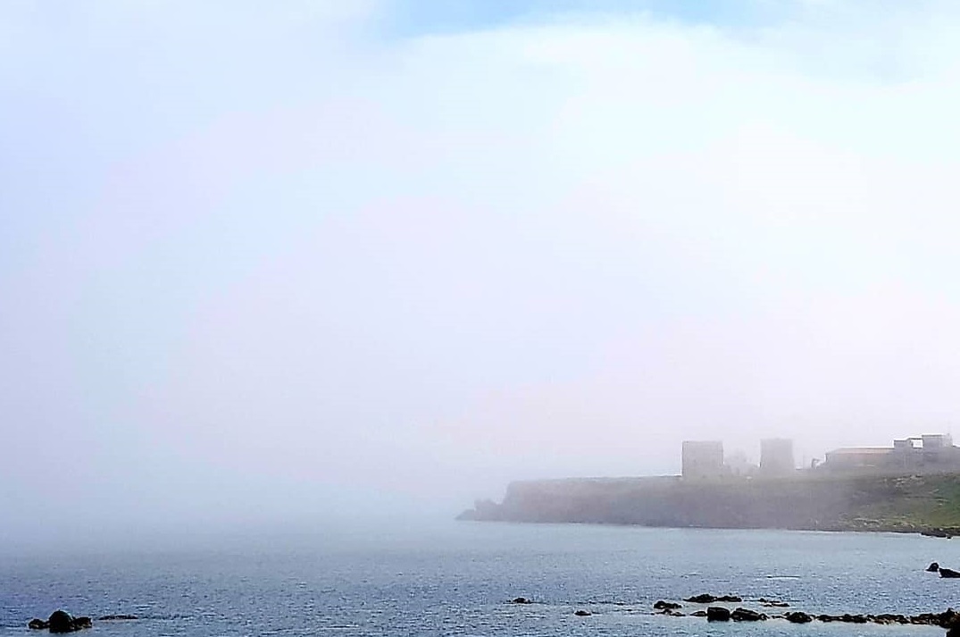 Nebbia Crotone Lupa di mare