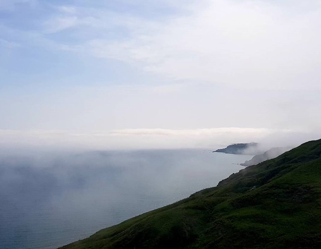 Nebbia Crotone Lupa di mare