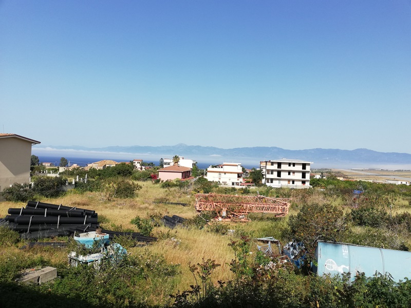 lupa di mare reggio calabria