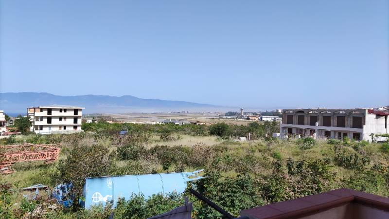 lupa di mare reggio calabria