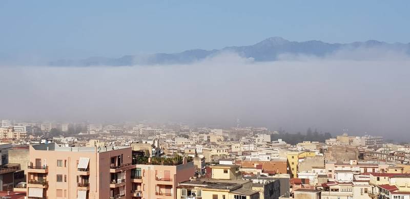 lupa reggio calabria 11 maggio