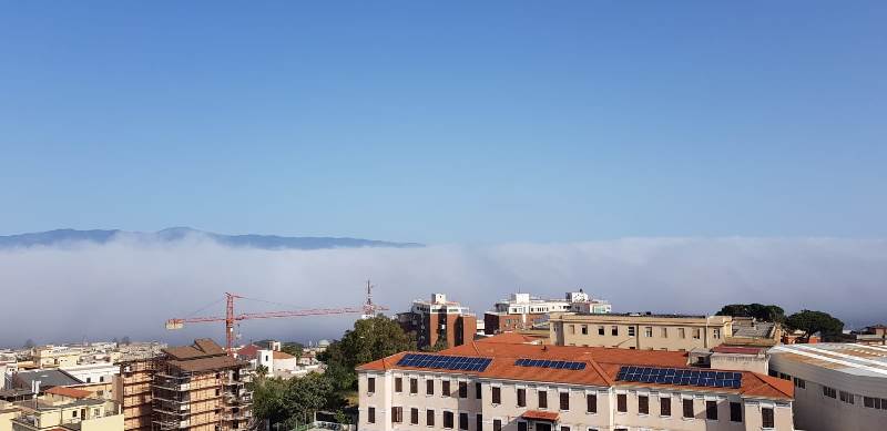 lupa reggio calabria 11 maggio