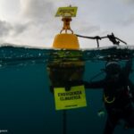 Clima, mare sempre più caldo e perdita di biodiversità: si amplia la rete per monitorare i mari italiani [FOTO]