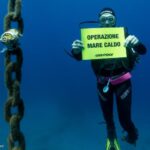 Clima, mare sempre più caldo e perdita di biodiversità: si amplia la rete per monitorare i mari italiani [FOTO]