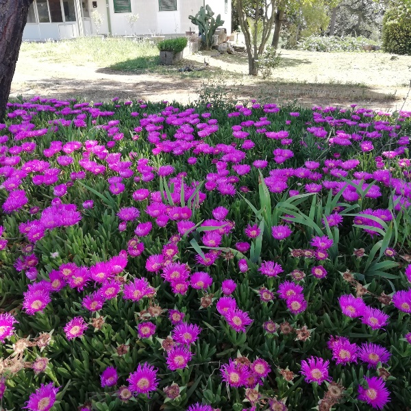 primavera Puglia Basilicata