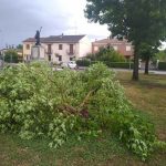 Piemonte piegato dal maltempo: tromba d’aria nel torinese, alberi caduti e strade bloccate nel novarese [FOTO & VIDEO]