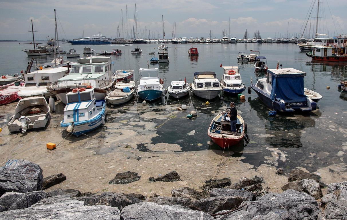 muco di mare mucillagine turchia mar di marmara