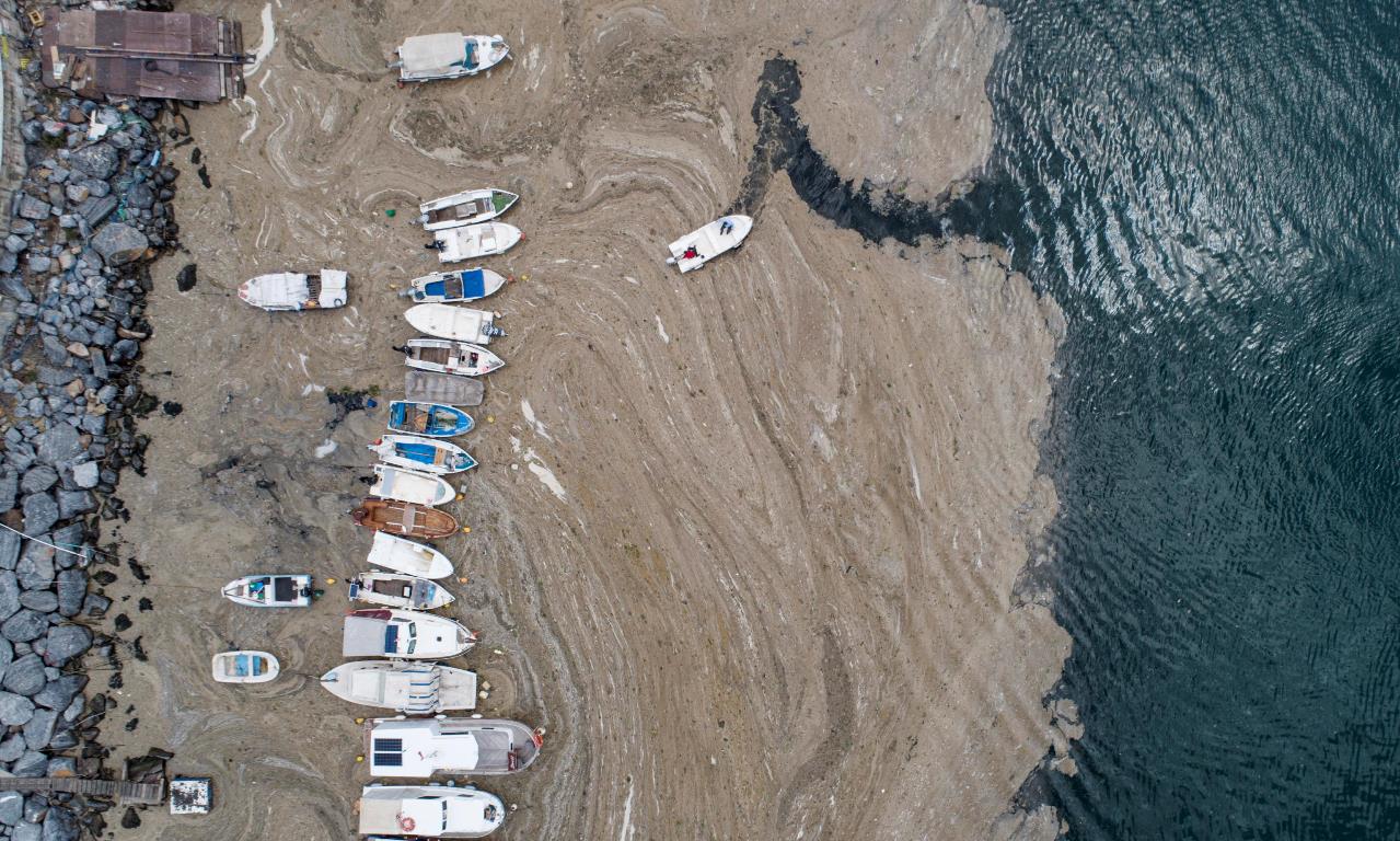 muco di mare mucillagine turchia mar di marmara