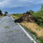 Novara devastata dal maltempo: downburst distrugge un supermercato, tetti divelti e disagi [FOTO & VIDEO]