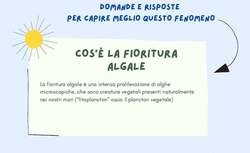 fioritura algale