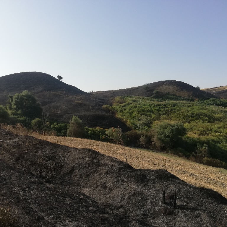 incendi Alta Murgia Puglia