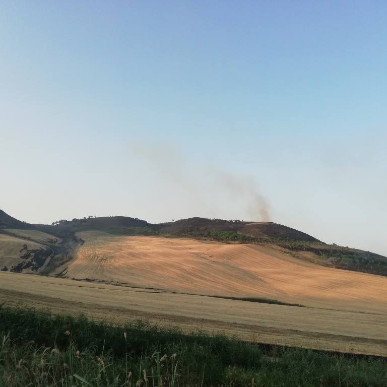 incendi Alta Murgia Puglia