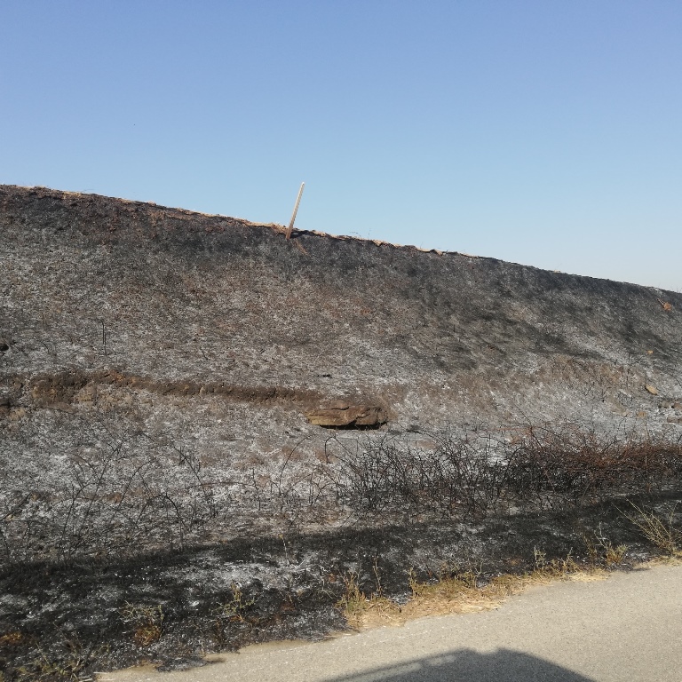 incendi Alta Murgia Puglia