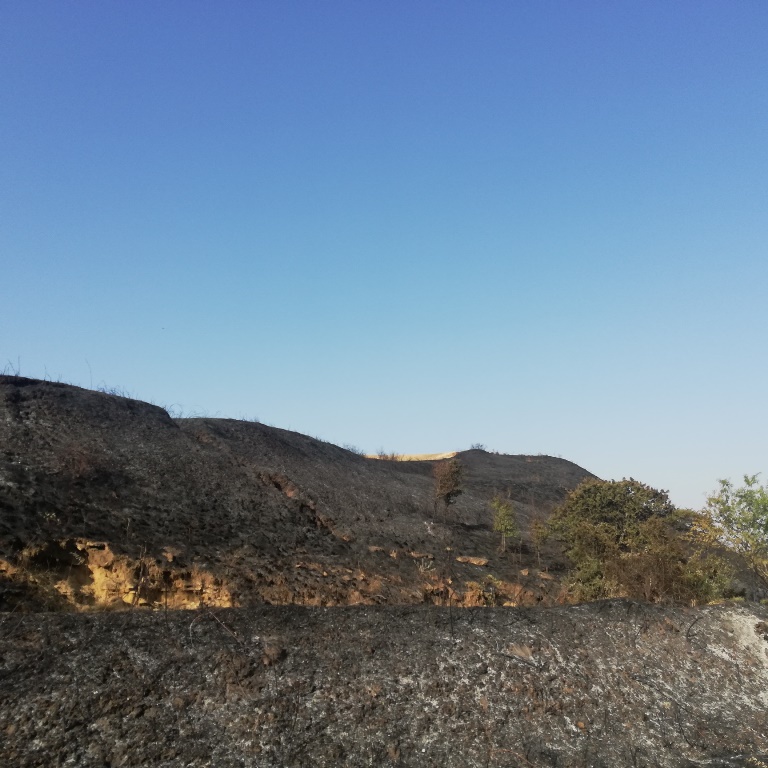 incendi Alta Murgia Puglia