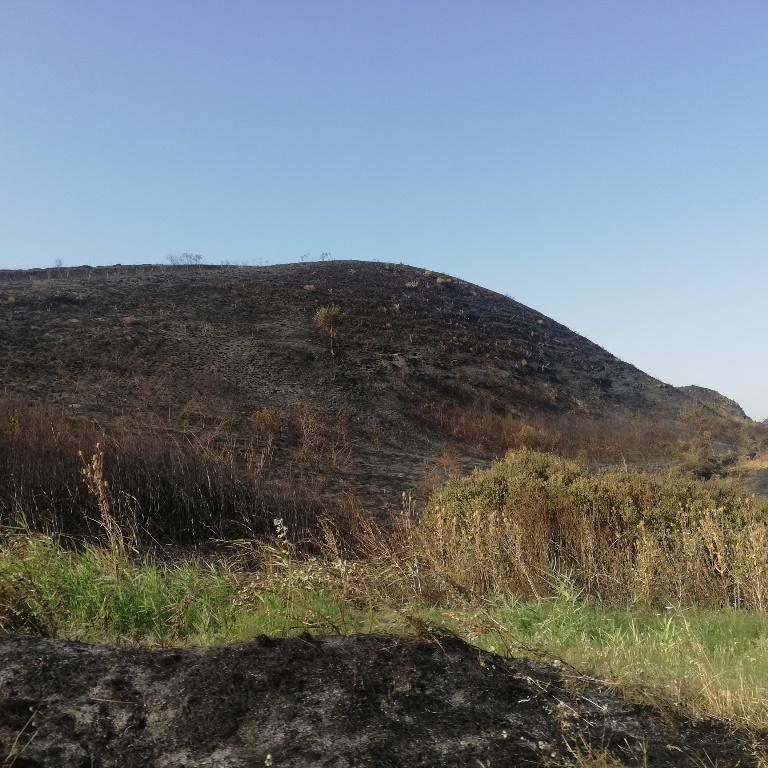 incendi Alta Murgia Puglia