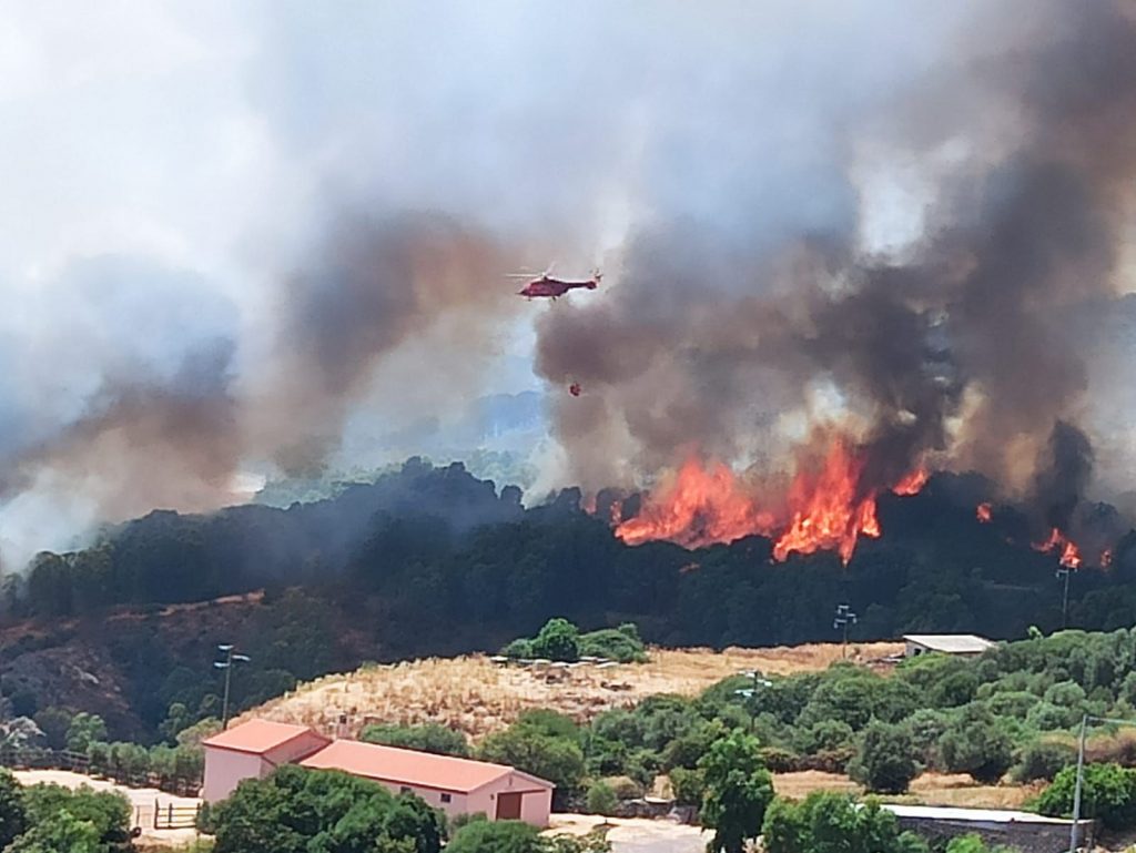 sardegna incendi