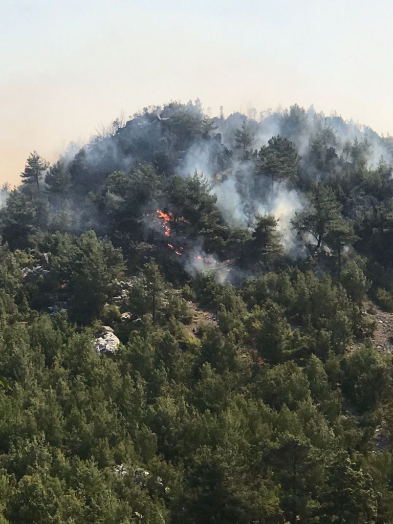 incendi turchia