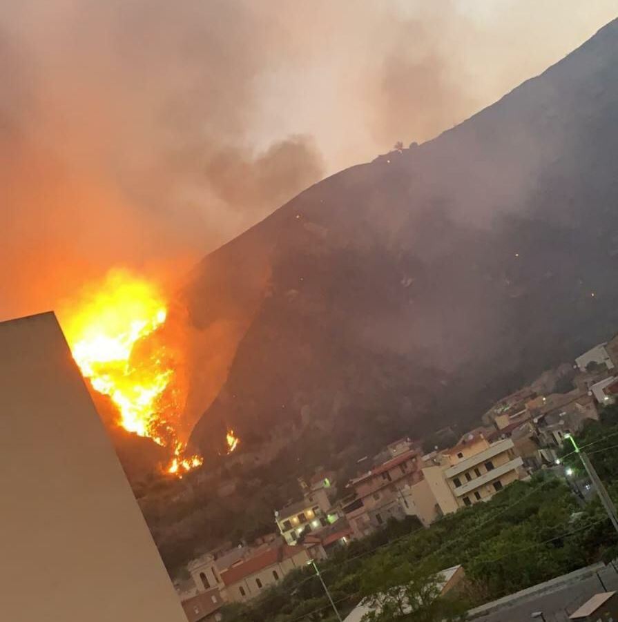 incendio oliveto reggio calabria