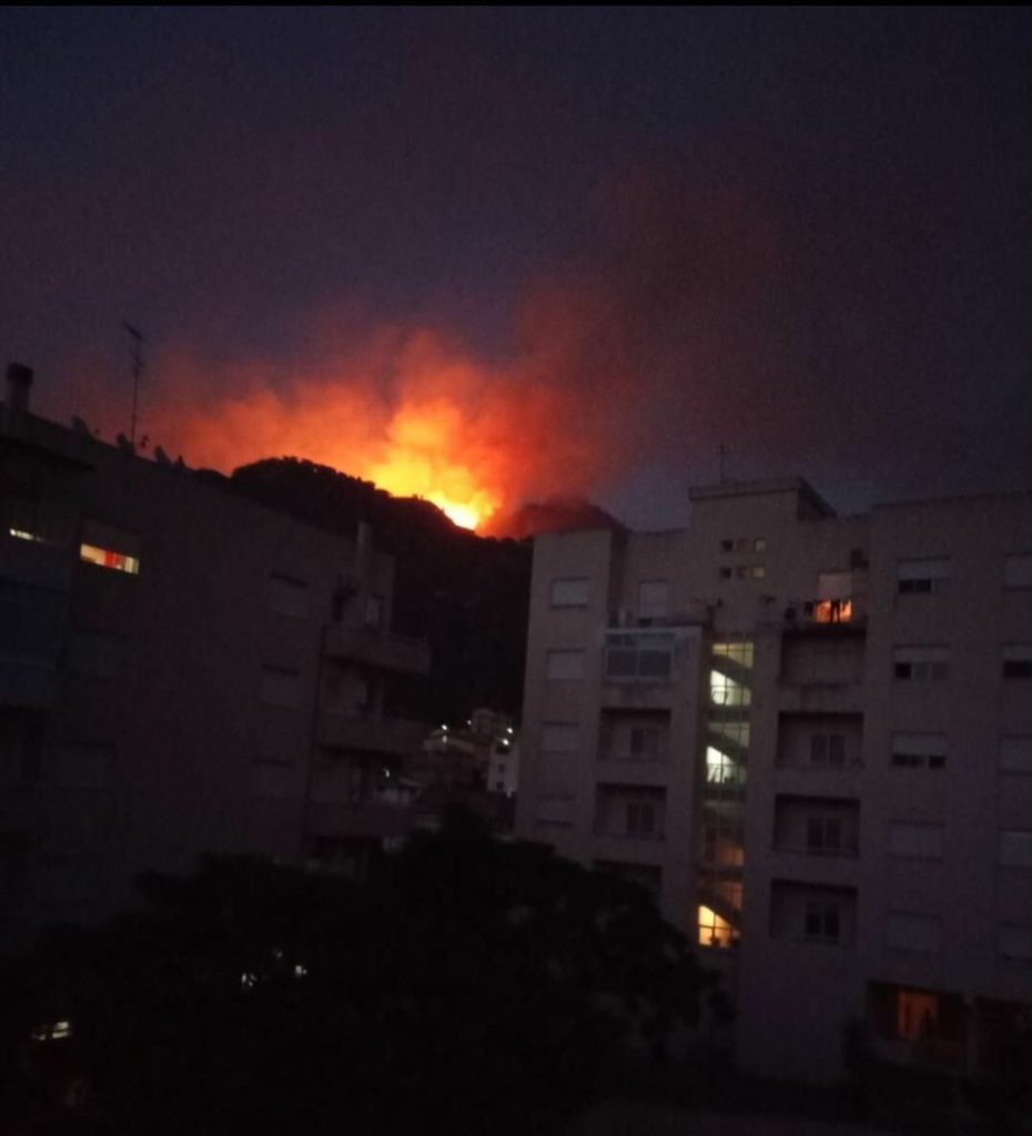 incendio oliveto reggio calabria