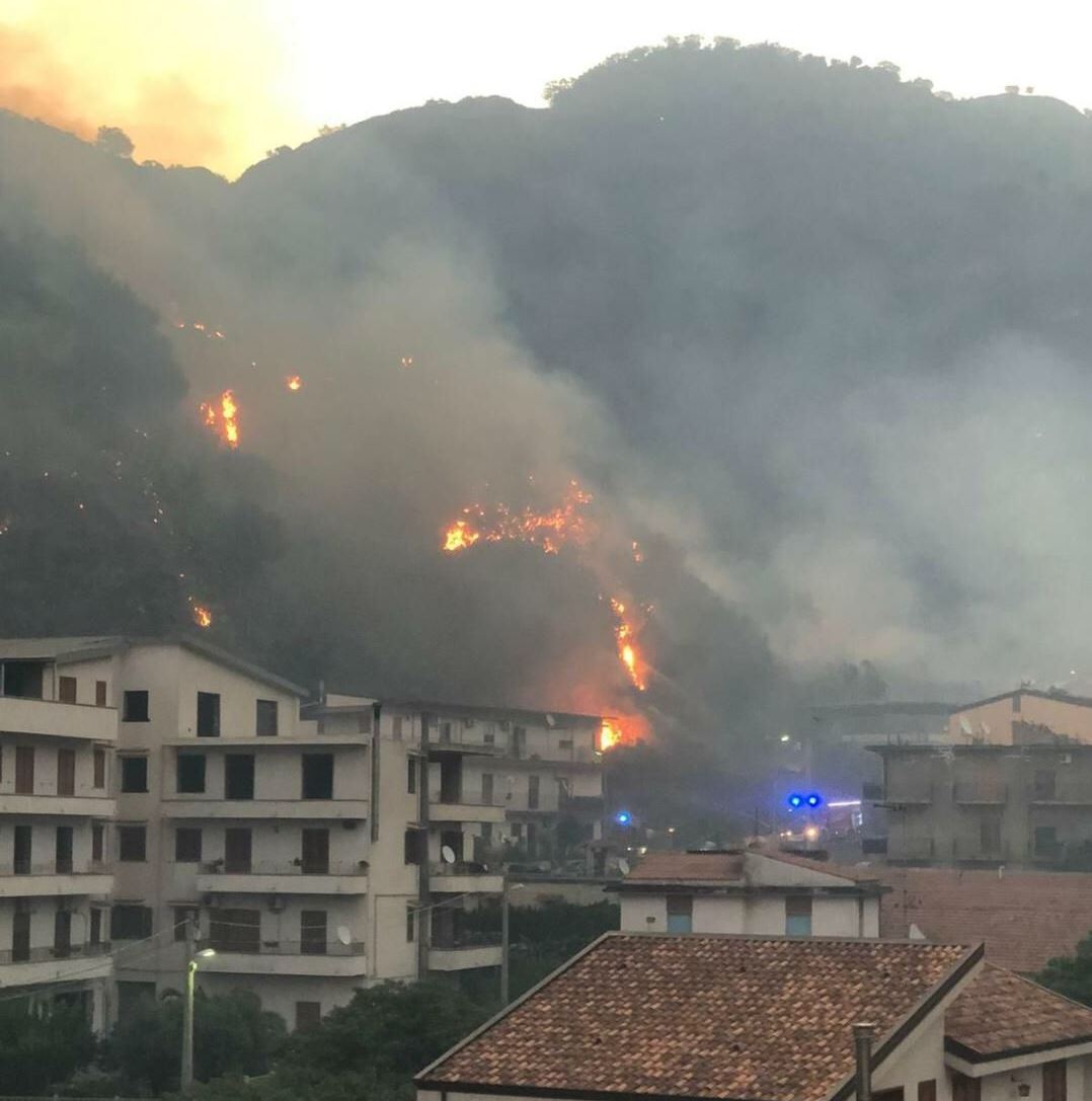 incendio oliveto reggio calabria