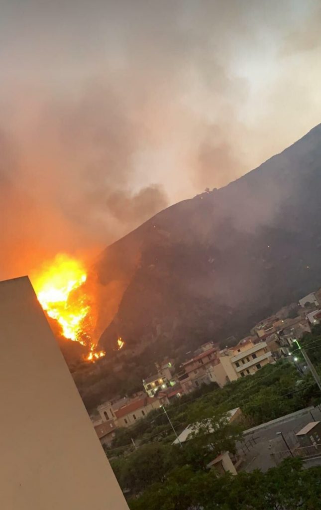 incendio oliveto reggio calabria