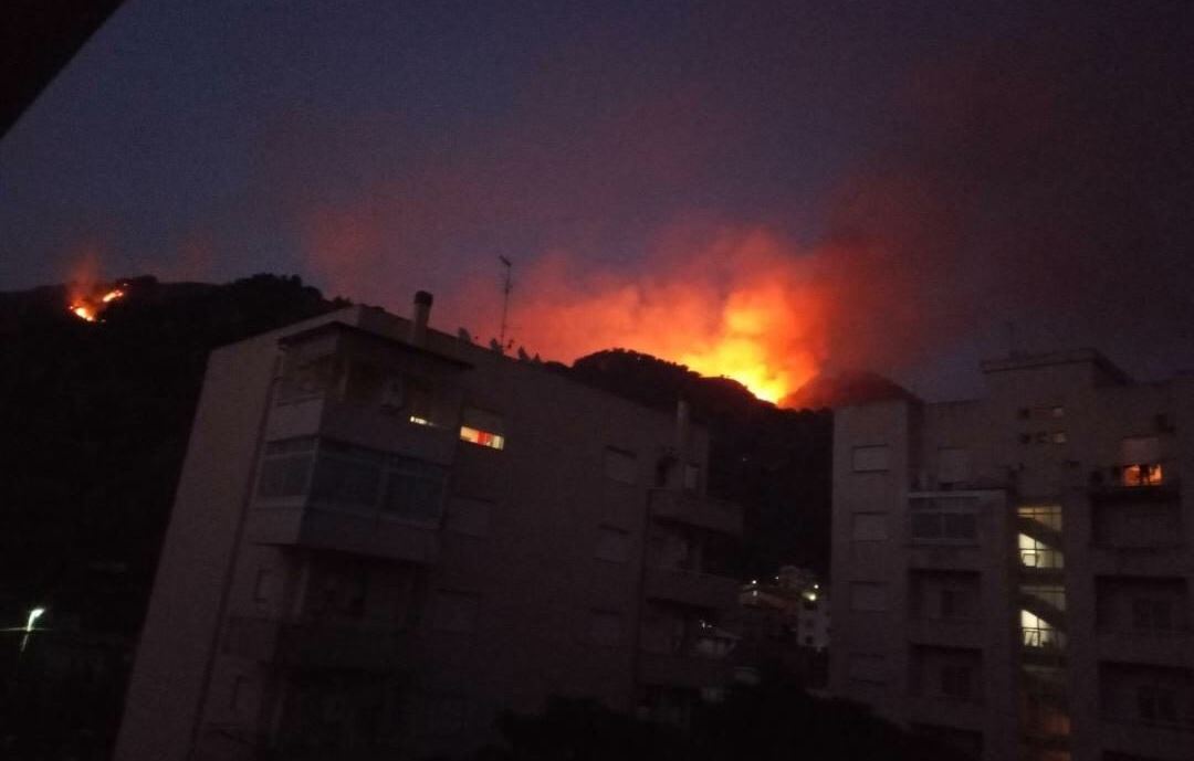 incendio oliveto reggio calabria