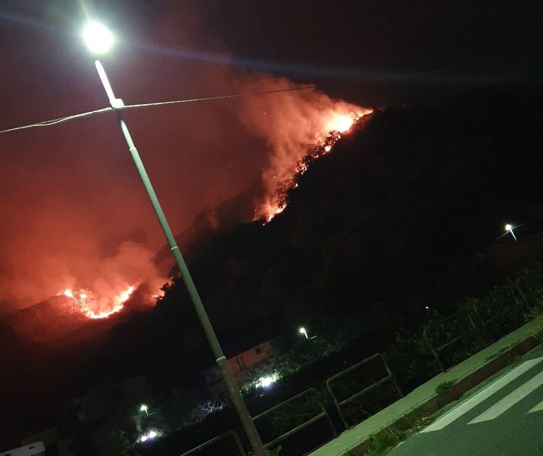 incendio oliveto reggio calabria