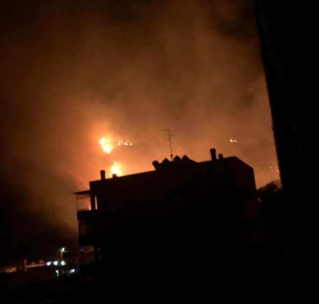 incendio oliveto reggio calabria