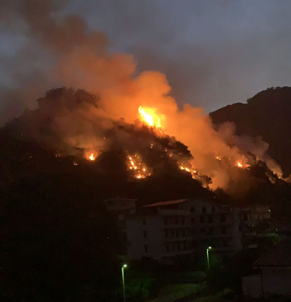 incendio oliveto reggio calabria