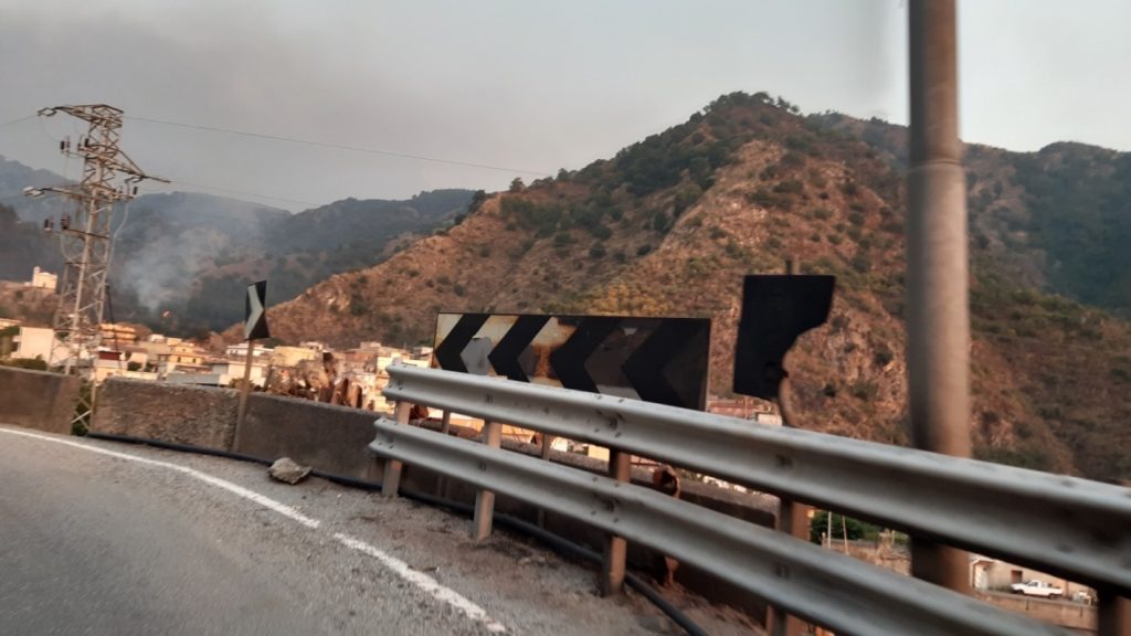 incendio reggio calabria 30 luglio 2021 foto disastro