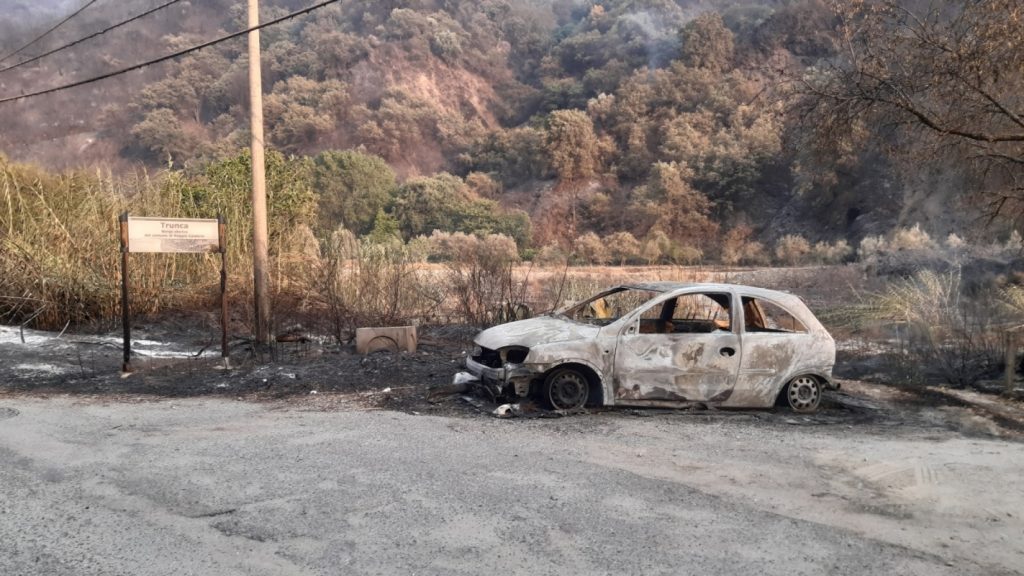 incendio reggio calabria 30 luglio 2021 foto disastro