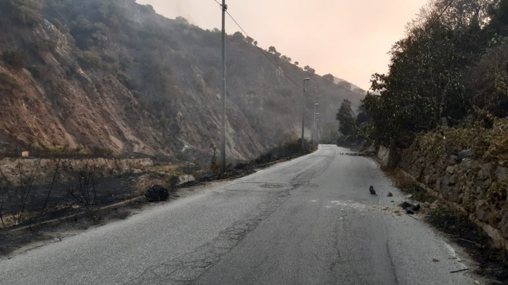 incendio reggio calabria 30 luglio 2021 foto disastro