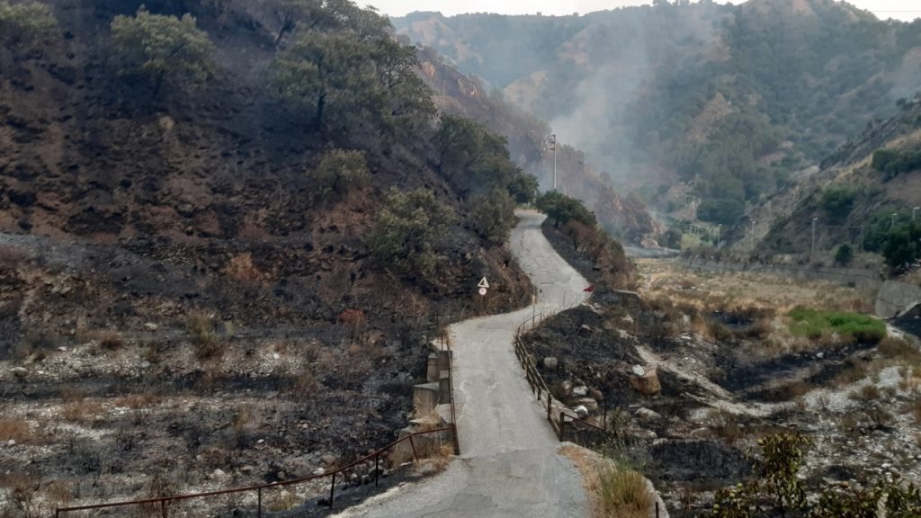 incendio reggio calabria 30 luglio 2021 foto disastro