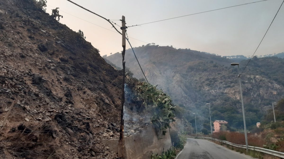 incendio reggio calabria 30 luglio 2021 foto disastro