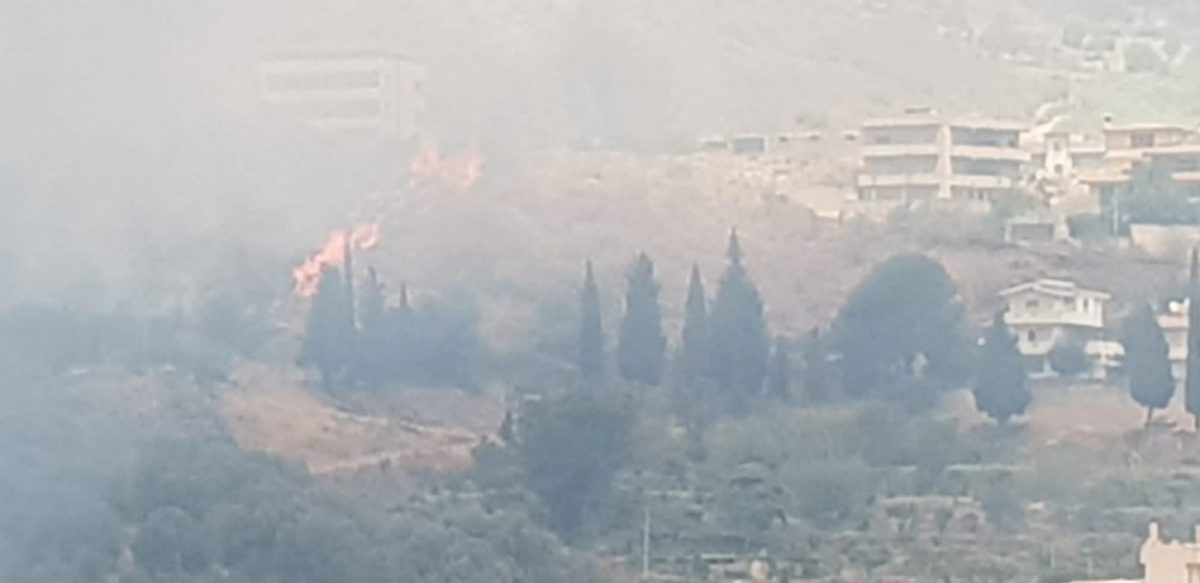 incendio reggio calabria pentimele