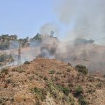 Caldo anomalo, Reggio Calabria assediata dagli incendi: rogo divampa a Pentimele, le fiamme avanzano [FOTO e VIDEO]