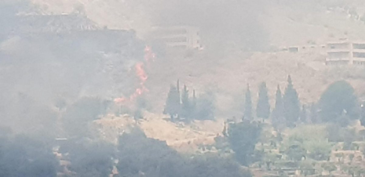 incendio reggio calabria pentimele