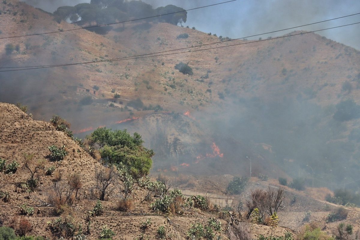 incendio reggio calabria pentimele