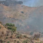 Caldo anomalo, Reggio Calabria assediata dagli incendi: rogo divampa a Pentimele, le fiamme avanzano [FOTO e VIDEO]