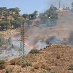 Caldo anomalo, Reggio Calabria assediata dagli incendi: rogo divampa a Pentimele, le fiamme avanzano [FOTO e VIDEO]