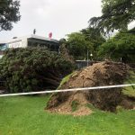 Maltempo Trentino, Alto Garda in ginocchio: alberi abbattuti e tetti divelti, “danni peggiori della tempesta Vaia” [FOTO]