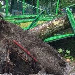 Maltempo Trentino, Alto Garda in ginocchio: alberi abbattuti e tetti divelti, “danni peggiori della tempesta Vaia” [FOTO]