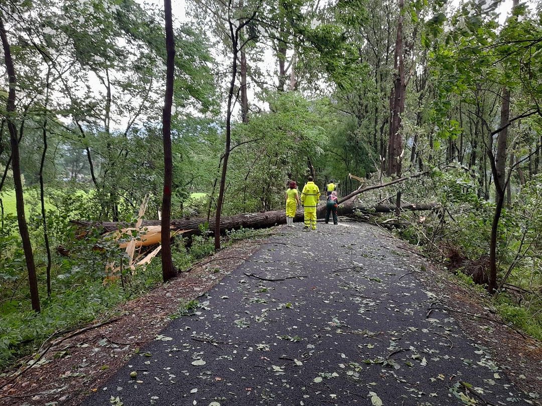 over 100mm in the Como area, hail and uprooted trees in the Bergamo area – PHOTO